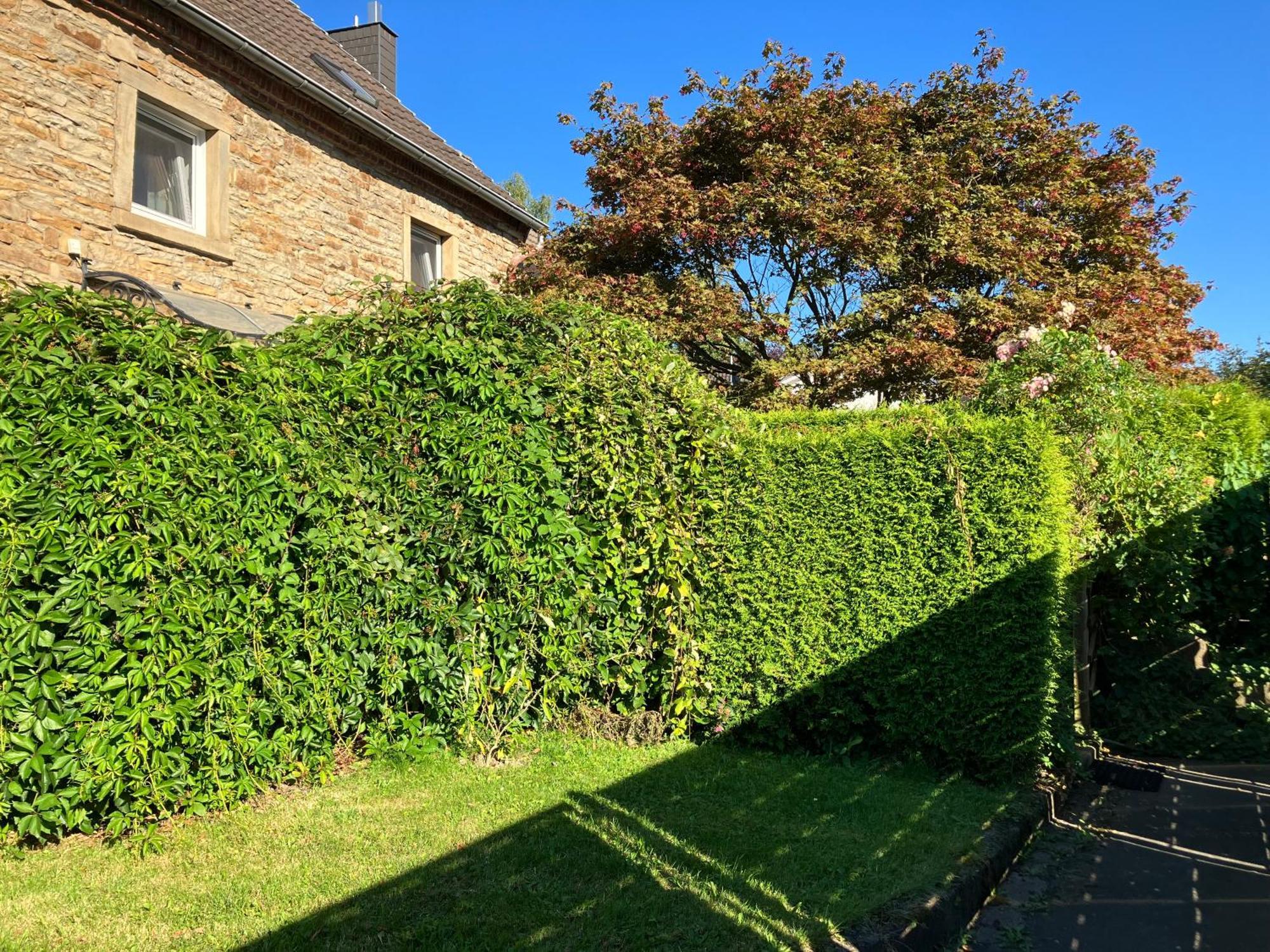 Ferienwohnung Im Gruenen Eg Mit Terrasse Herdecke Eksteriør billede
